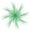 StarGoid